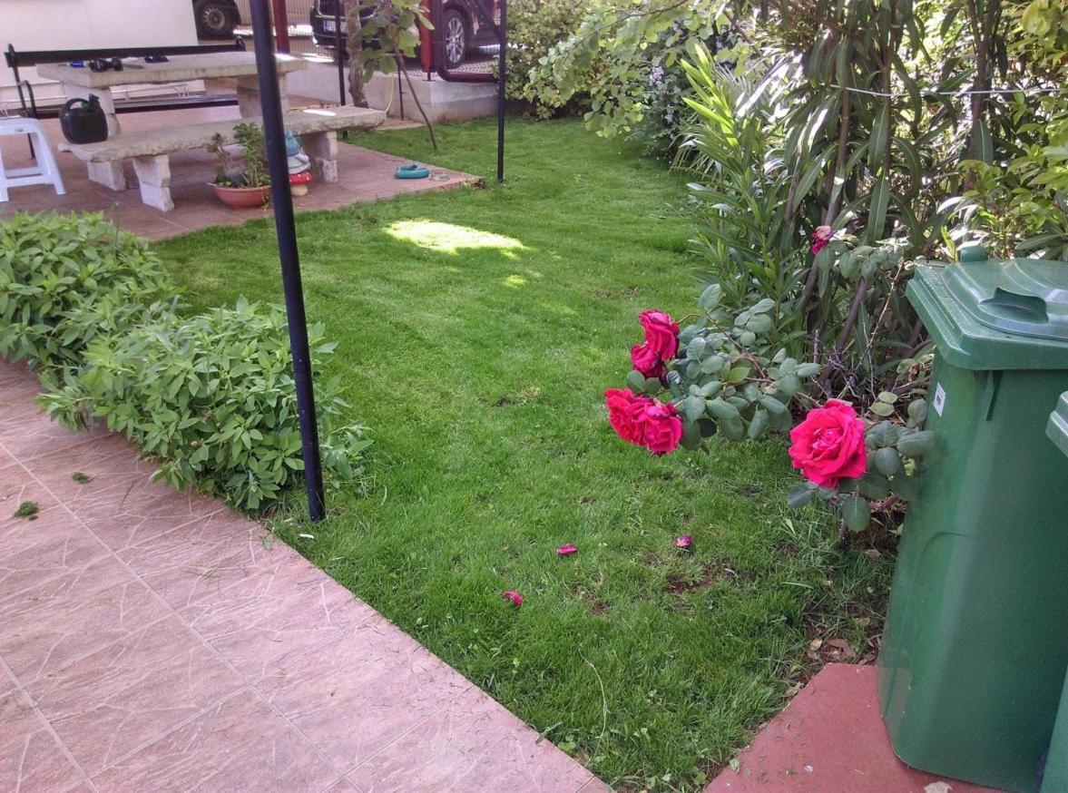 Apartment Casa Del Sol Novigrad  Bagian luar foto